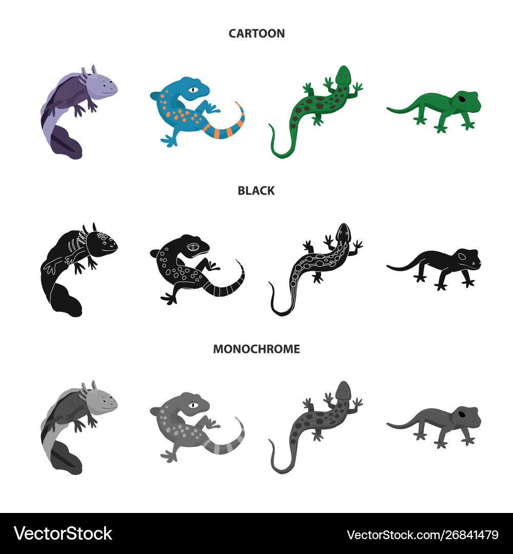 Isolated object tail and fauna sign set Isolated object tail and fauna sign set Vector Image