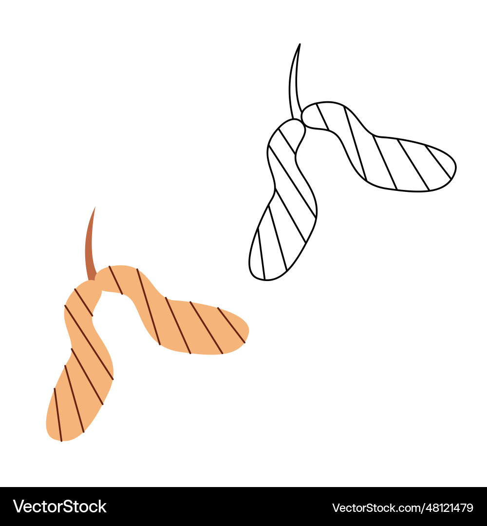 Small set with abstract maple seeds Small set with abstract maple seeds vector image