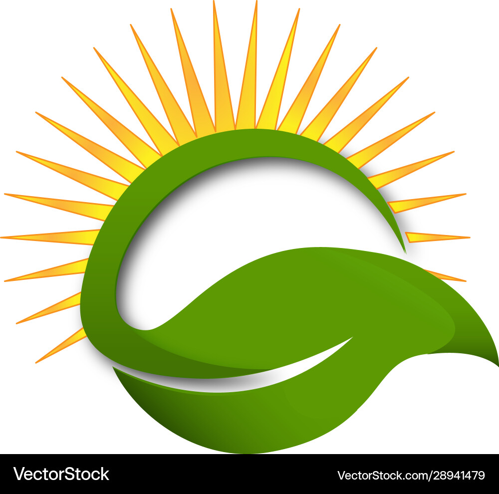 Sun and Leaf Wellness Logo Vector Image
