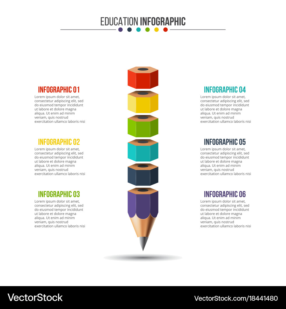 Workflow & Process Infographic vector image