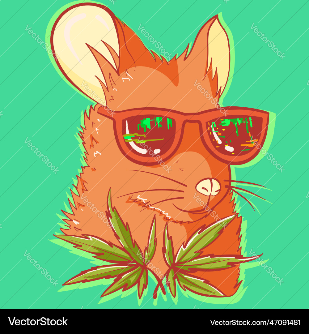 Cool rat with sunglasses and marijuana leaves Cool rat with sunglasses and marijuana leaves vector image