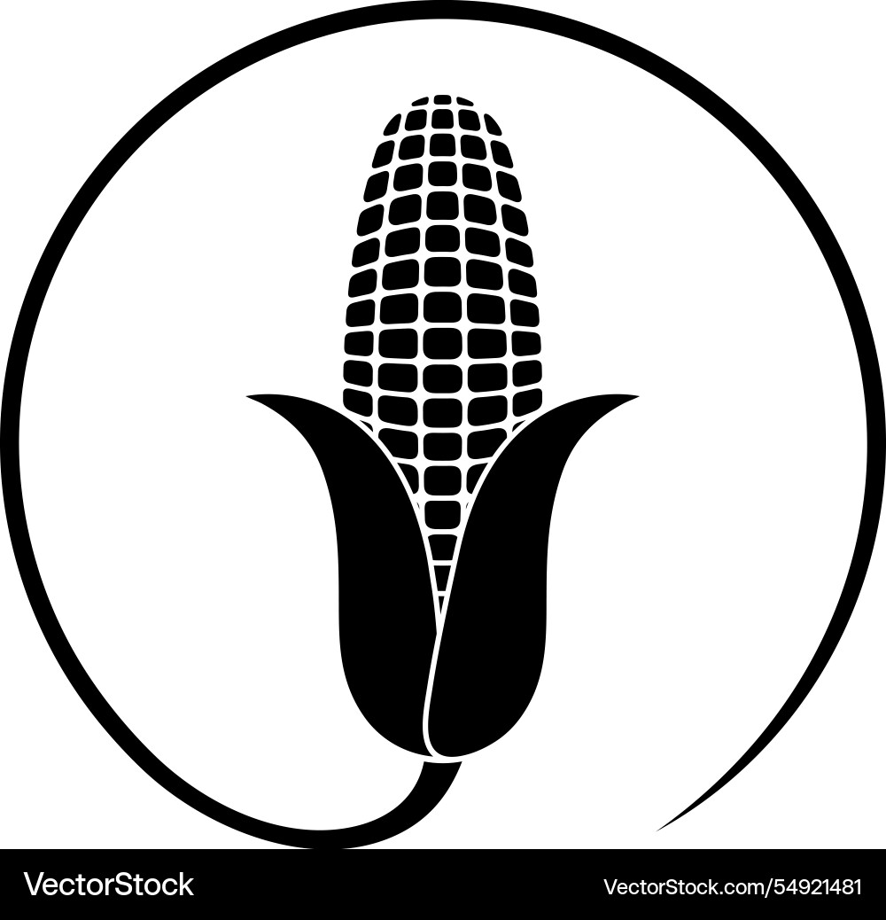 Corn Royalty Free Vector Image - VectorStock