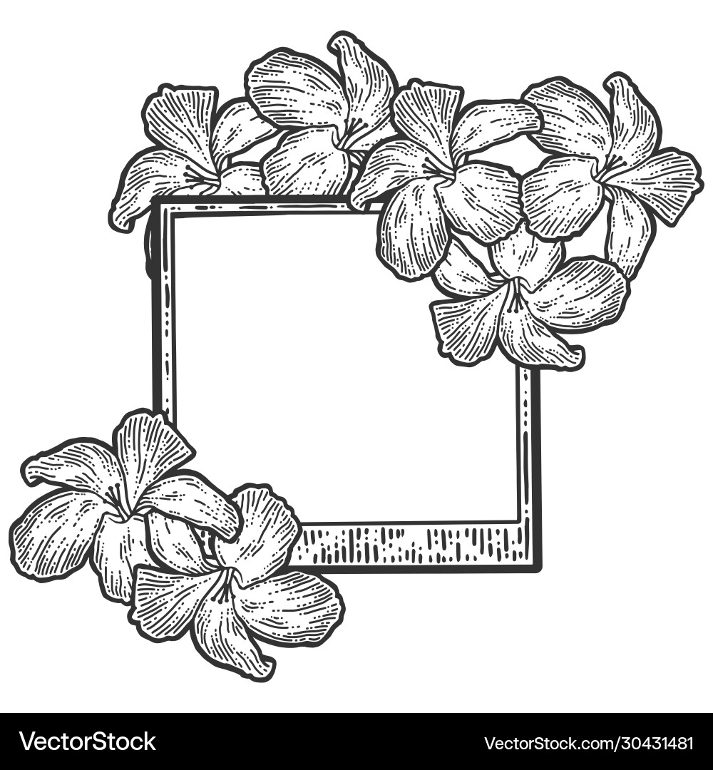 Empty frame with flowers blank for text sketch Vector Image