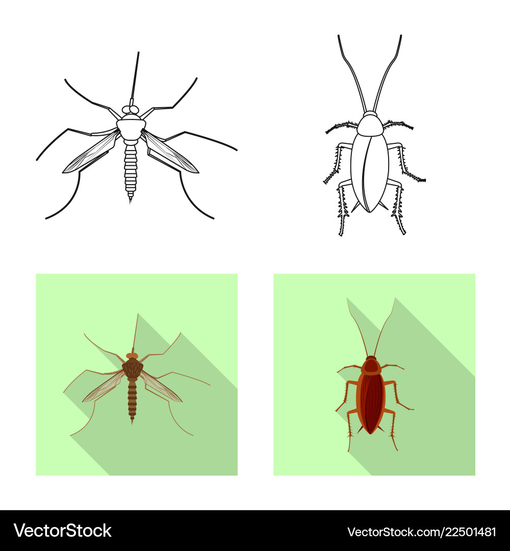 Isolated object of insect and fly symbol set vector image