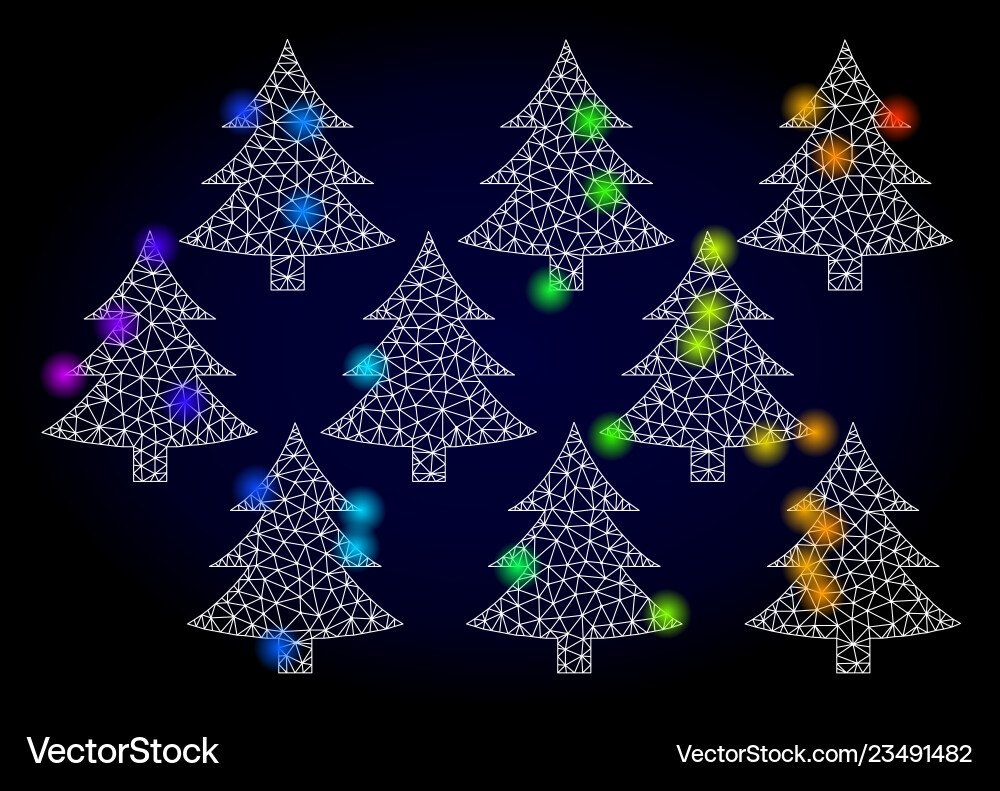 Carcass mesh fir forest with rainbow Vector Image