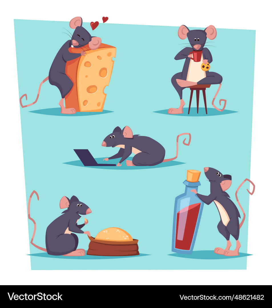 Cute rats set cartoon funny mices in different Cute rats set cartoon funny mices in different vector image