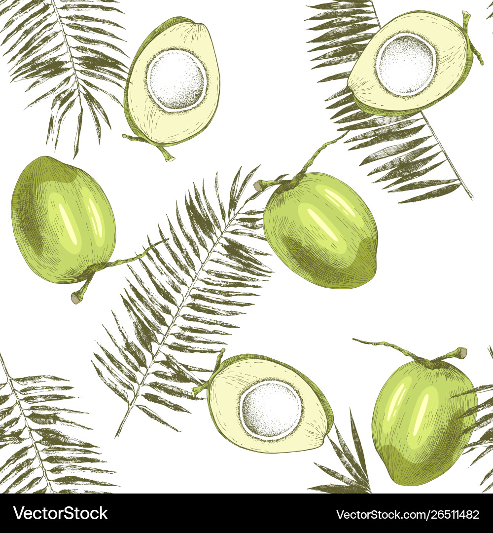 Seamless pattern with hand drawn coconuts and palm vector image