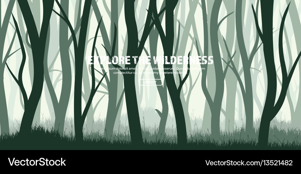 Wild Pine Forest Landscape Vector Image