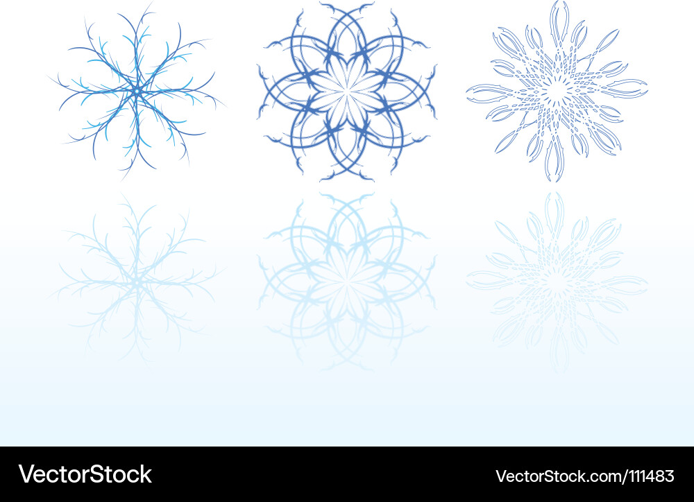 Elegant Snowflake Collection vector image