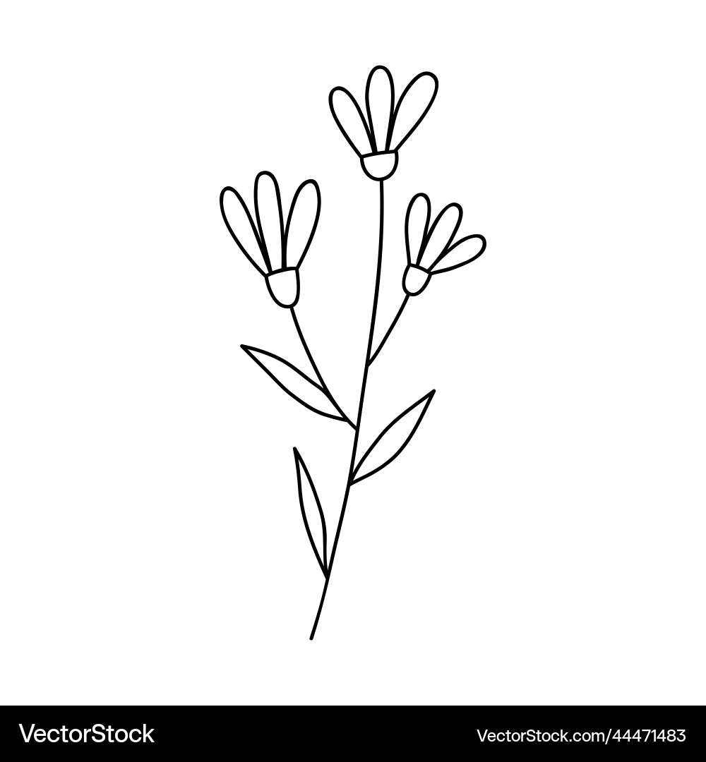 Web Web vector image