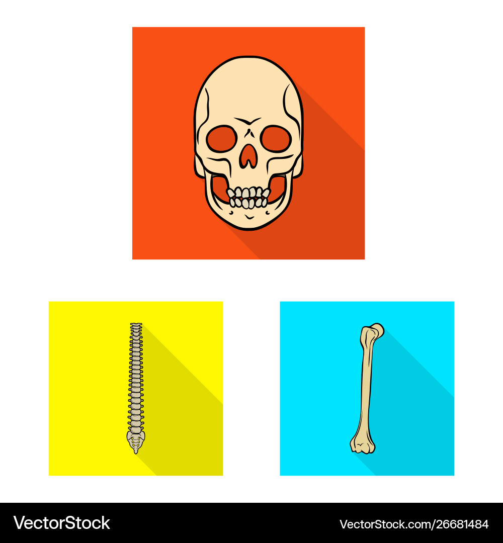 Isolated object bone and skeleton icon Isolated object bone and skeleton icon Vector Image