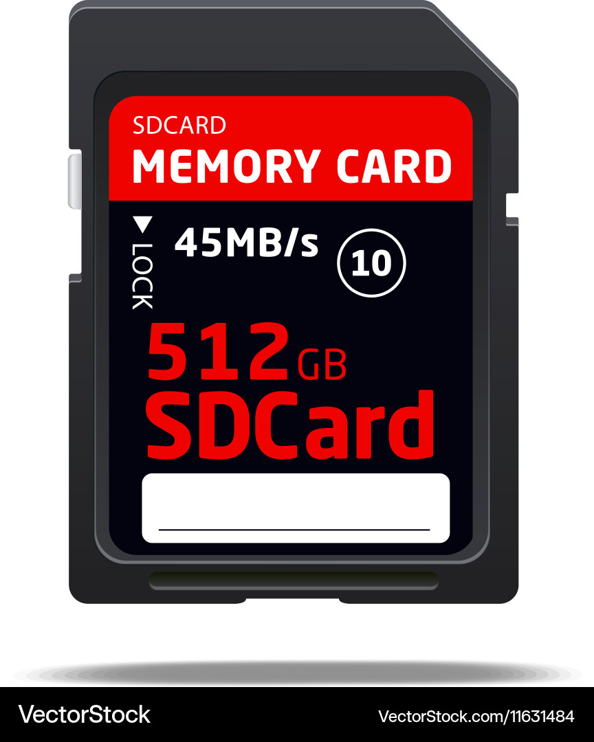 Memory sd card for various devices Vector Image