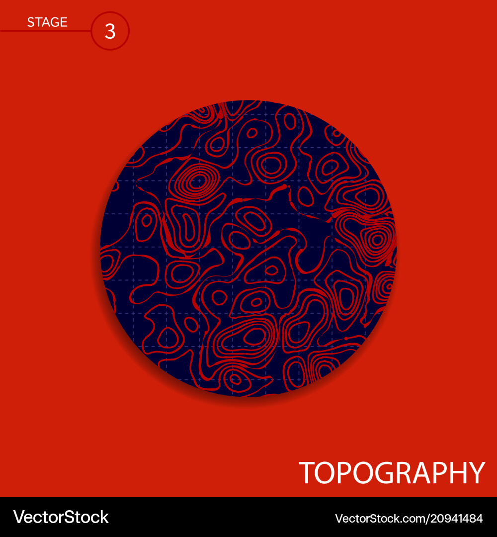 Topography map Royalty Free Vector Image - VectorStock