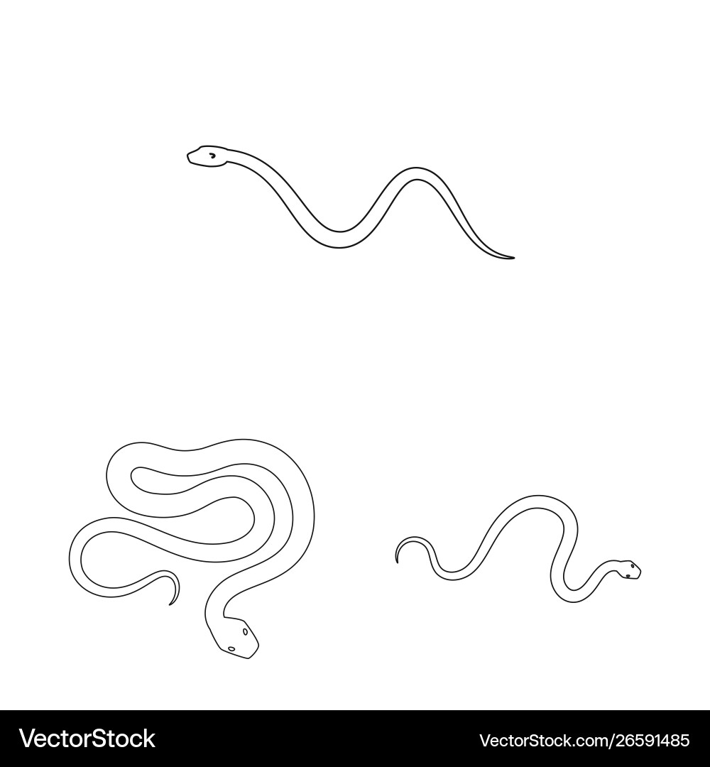 Isolated object poison and evil icon set Isolated object poison and evil icon set vector image