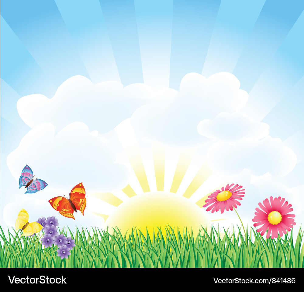 Spring field vector image