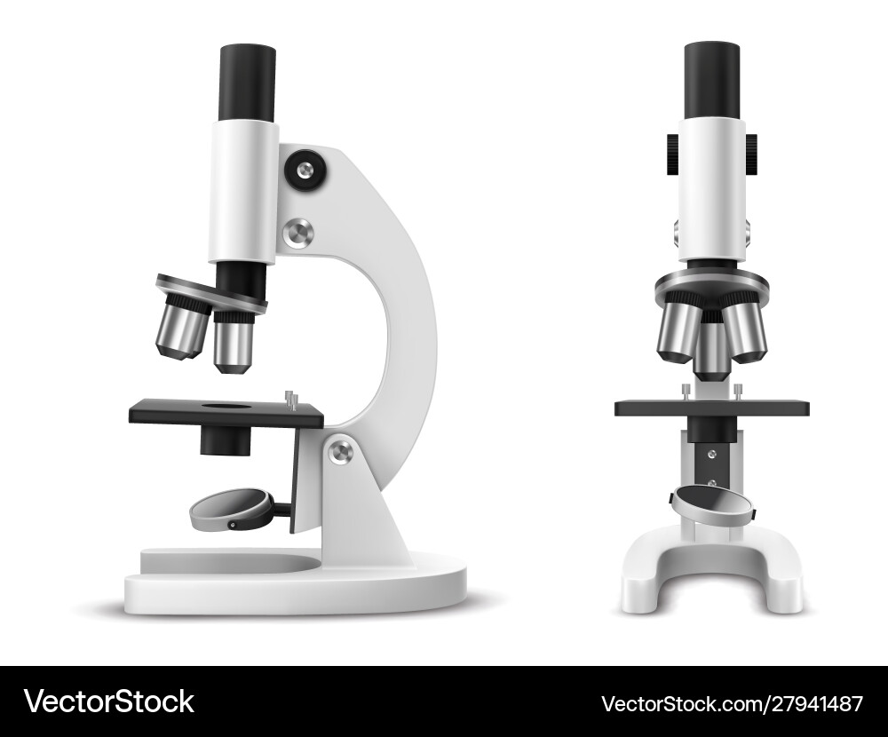 Microscope Side & Front View - Lab Tool vector image