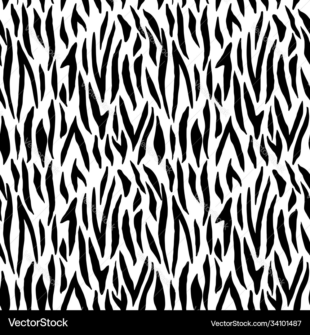 Monochrome Zebra Stripes Pattern vector image
