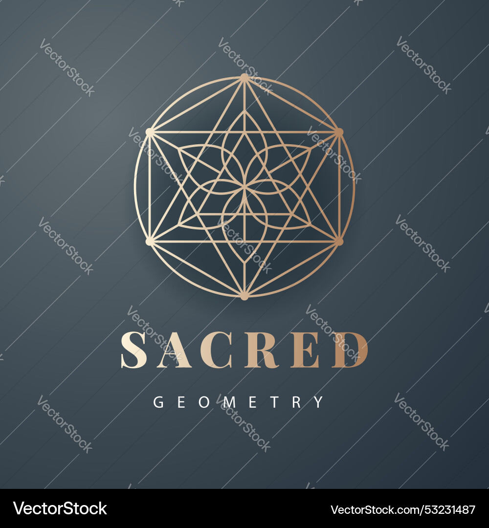 Sacred Geometry Patterns vector image