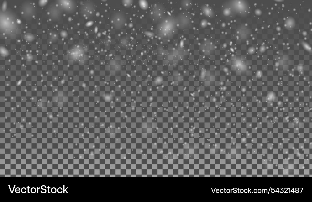 Snowflake with isolated transparent background vector image
