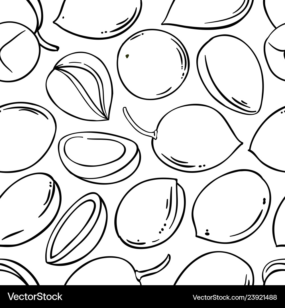 Argan nuts pattern on color background Vector Image