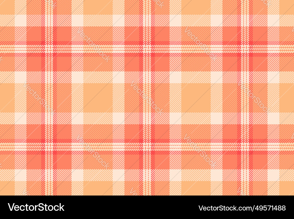 Textile background pattern of seamless check vector image