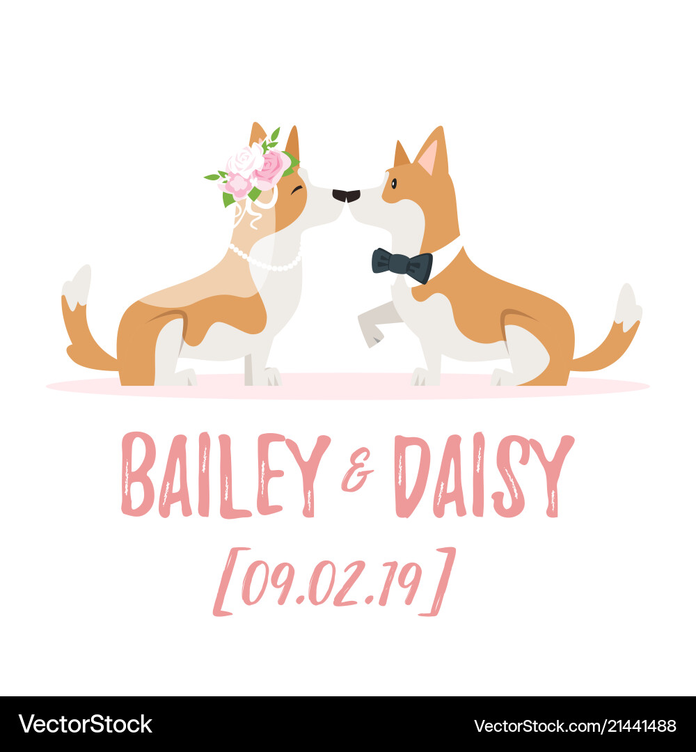 Wedding day with dog Wedding day with dog vector image