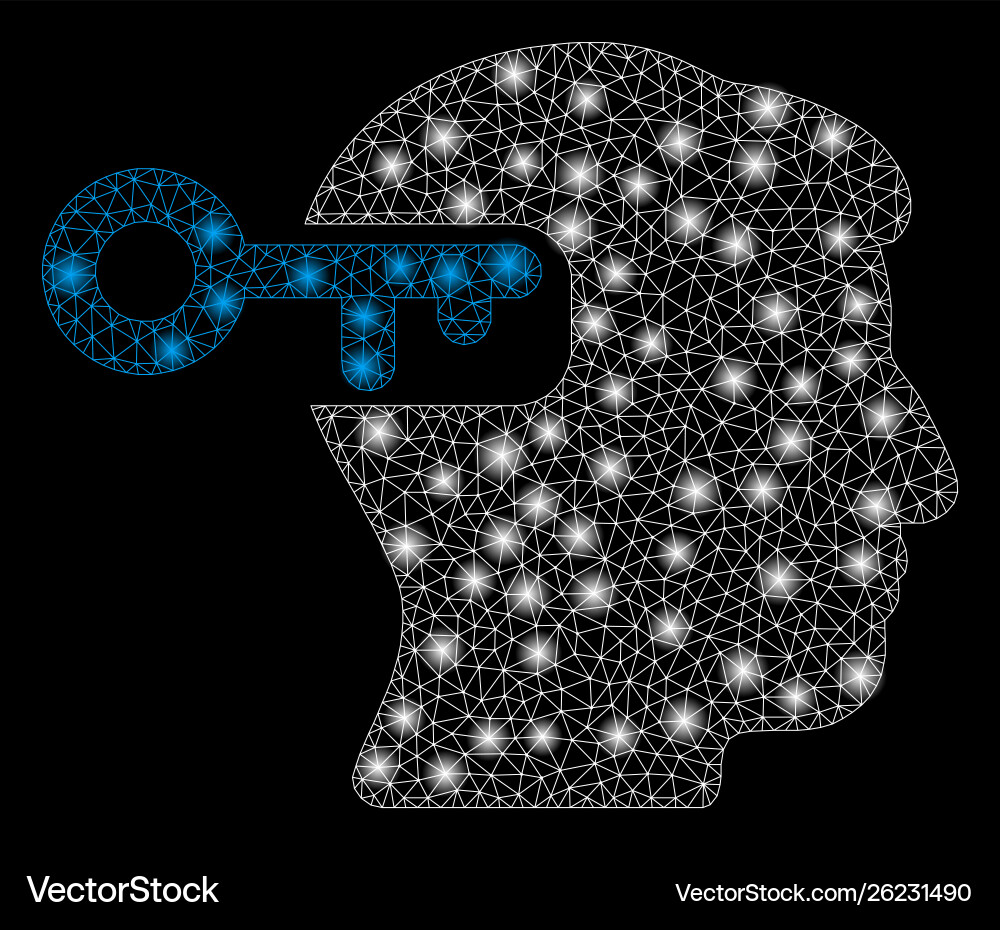 Flare mesh wire frame intellect key with Flare mesh wire frame intellect key with vector image