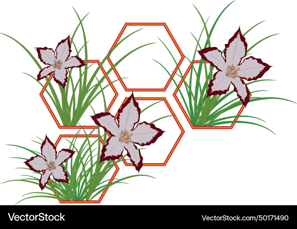 Hexagonal honeycomb shape pattern with flowers Vector Image