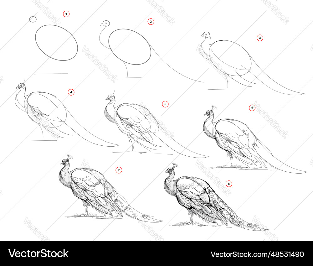 Page shows how to learn draw from life sketch vector image