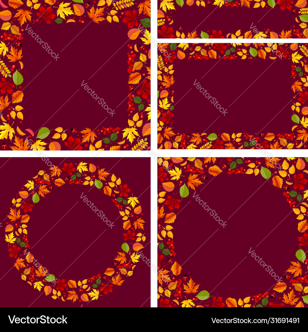 Autumn backgrounds and frames set with leaves Autumn backgrounds and frames set with leaves vector image