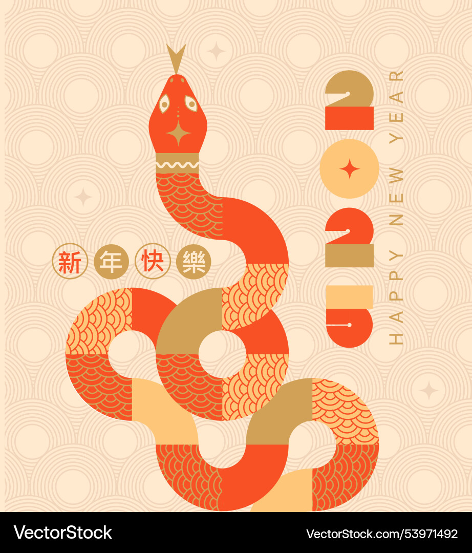 Chinese new year banner for 2025 Chinese new year banner for 2025 vector image