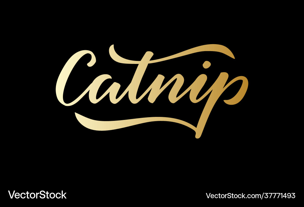 Catnip golden isolated word on black background Catnip golden isolated word on black background vector image