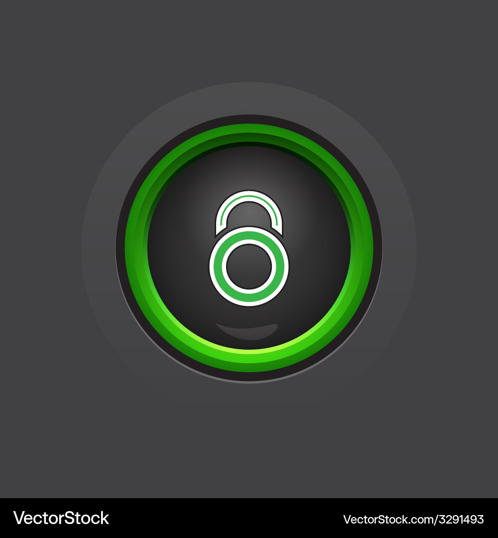 Glossy dark circle lock button vector image