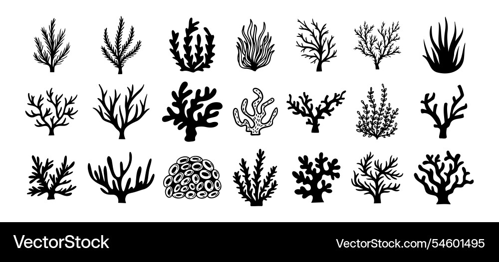 Coral silhouettes seaweed black icon abstract Coral silhouettes seaweed black icon abstract vector image