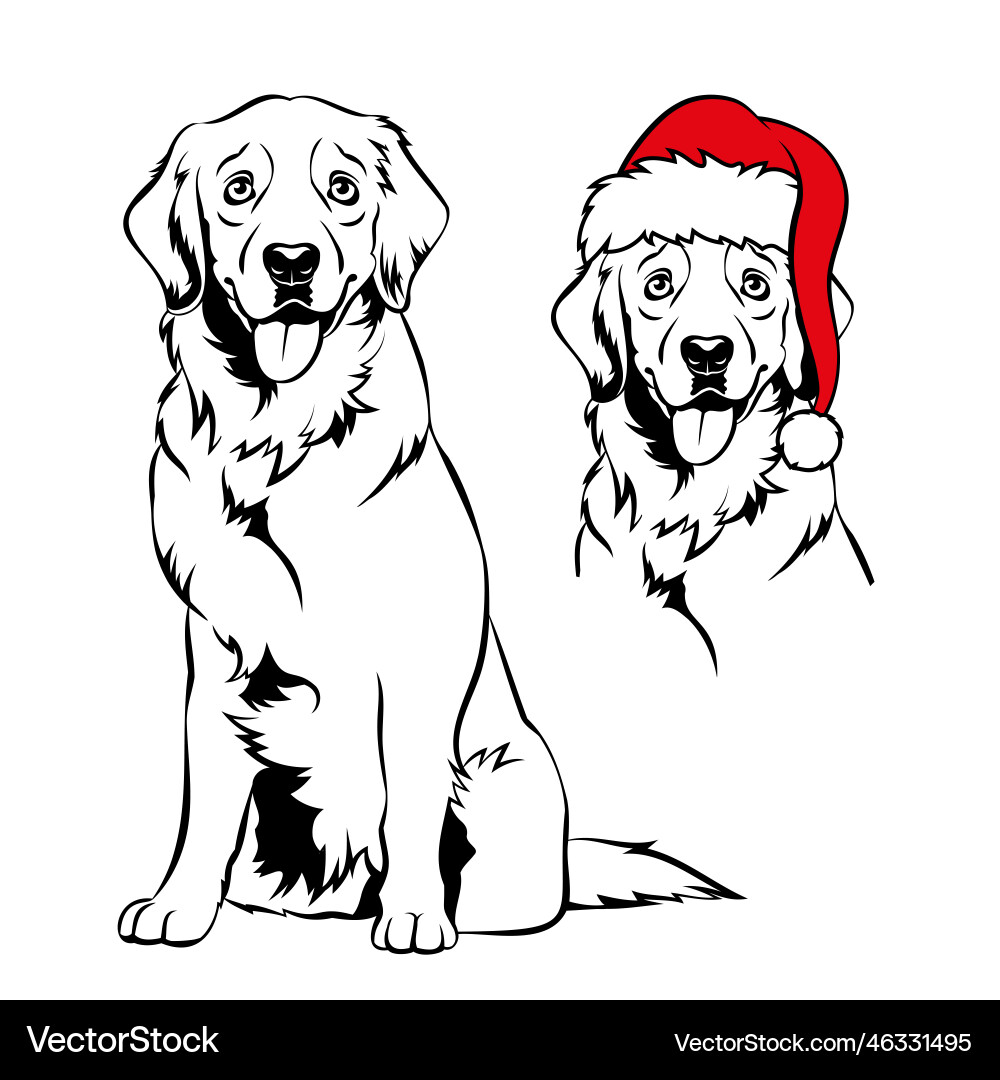 Golden retriver with santa hat christmas labrador Golden retriver with santa hat christmas labrador vector image