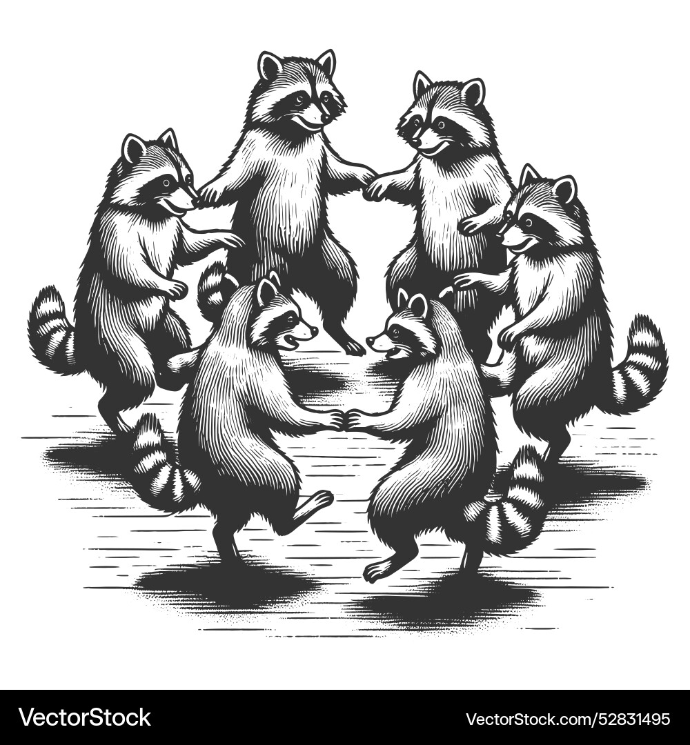 Raccoons dancing in a circle Royalty Free Vector Image