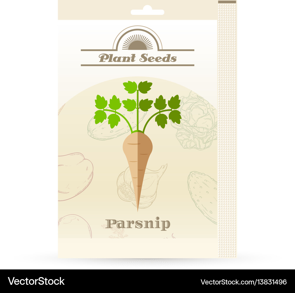 Pack of parsnip seeds icon Pack of parsnip seeds icon vector image