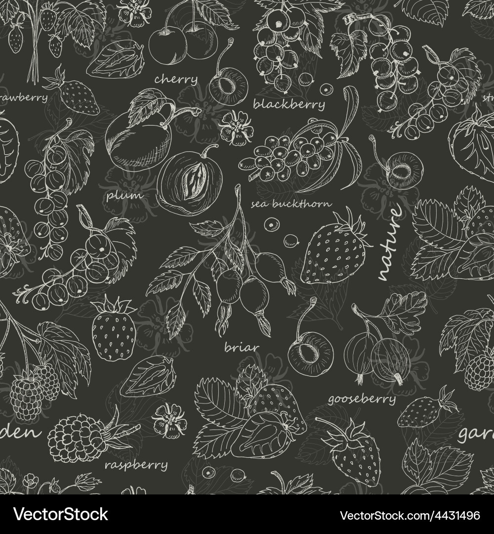 Seamless pattern with berries on dark background Vector Image