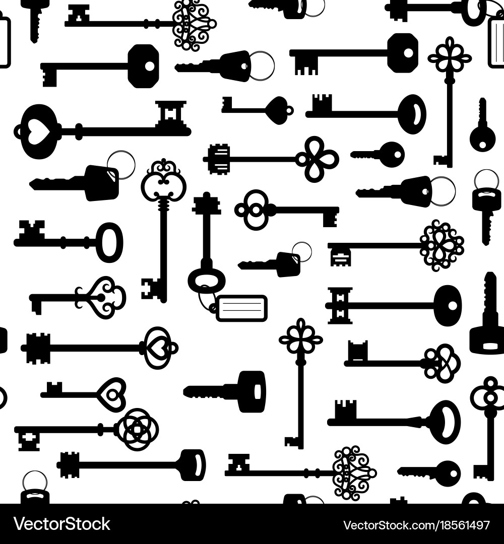 Black and White Key Pattern vector image