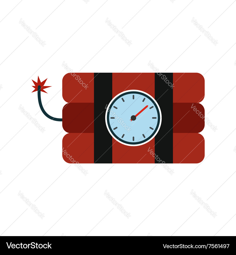 Bomb with clock timer flat icon vector image