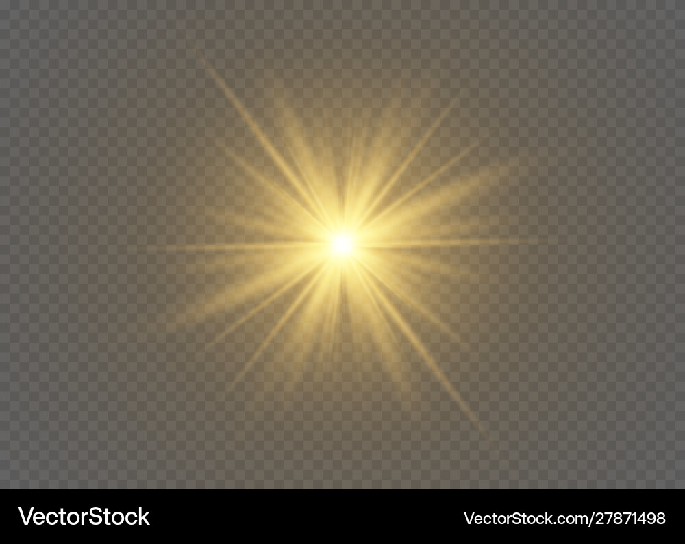 Light Flare Effect with Rays vector image