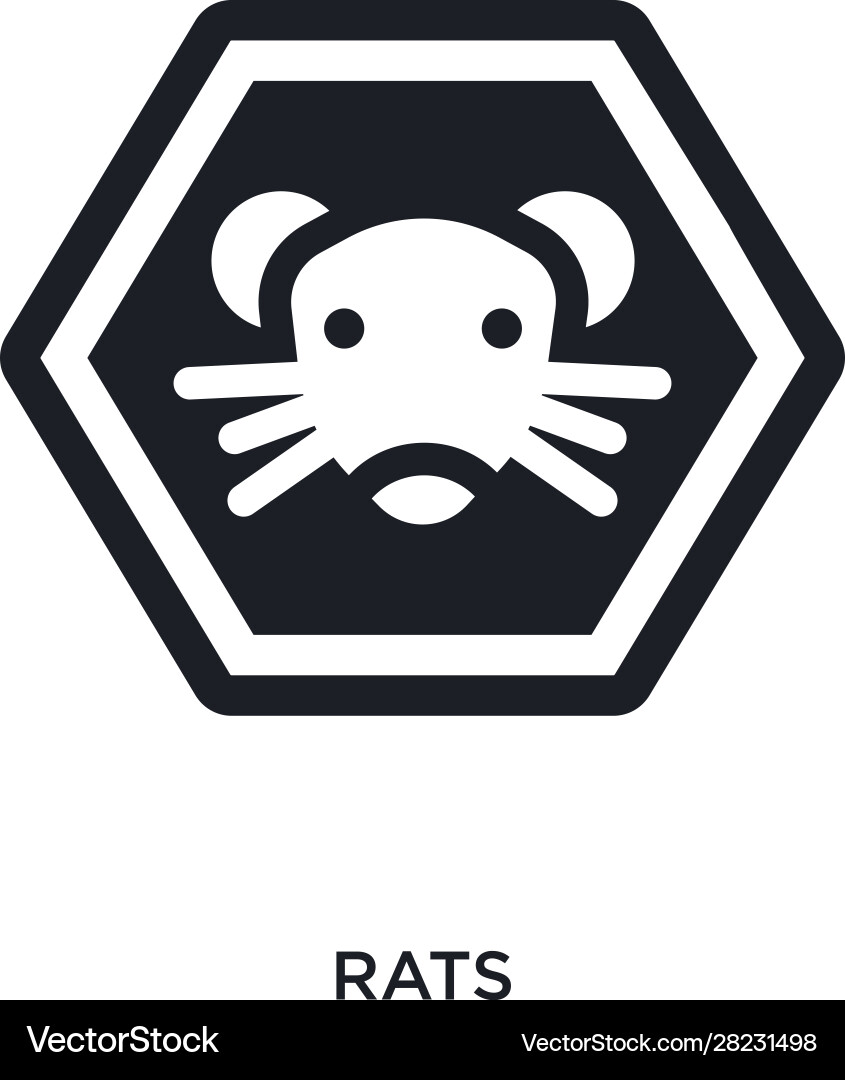 Rats isolated icon simple element from signs vector image