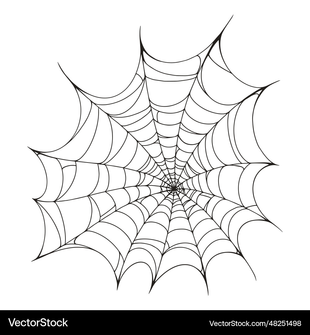 Thin spider web element monochrome vector image
