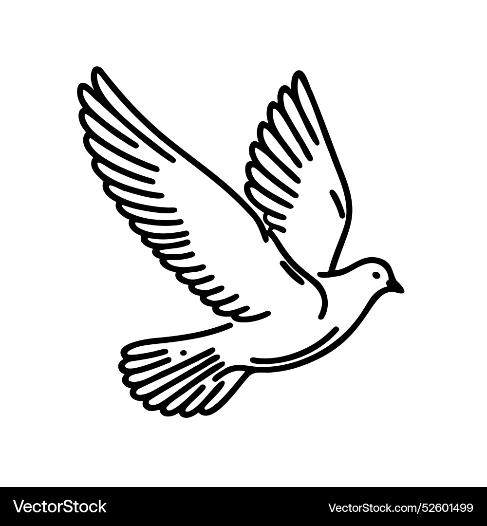 A white bird with black wings flying in the air A white bird with black wings flying in the air vector image