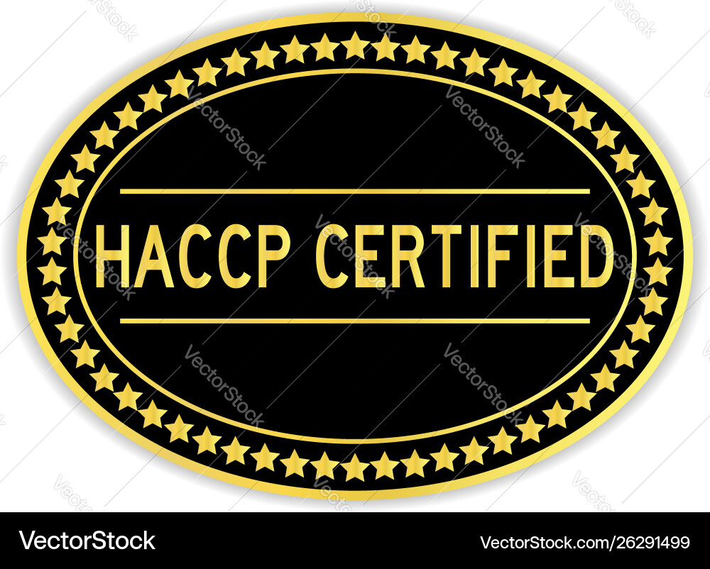 Black and gold color oval sticker in word haccp Black and gold color oval sticker in word haccp Vector Image