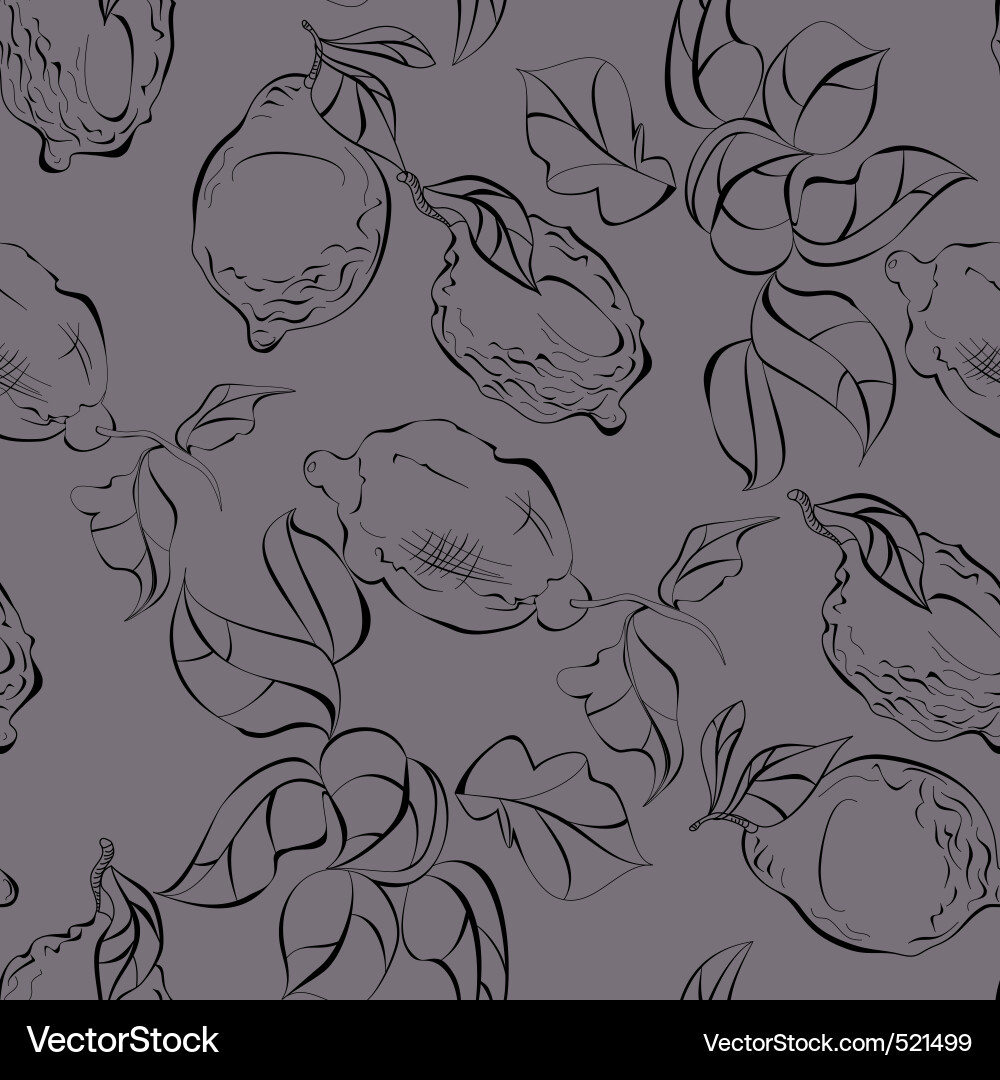 Lemon Citrus Sketch Seamless Pattern Vector Image