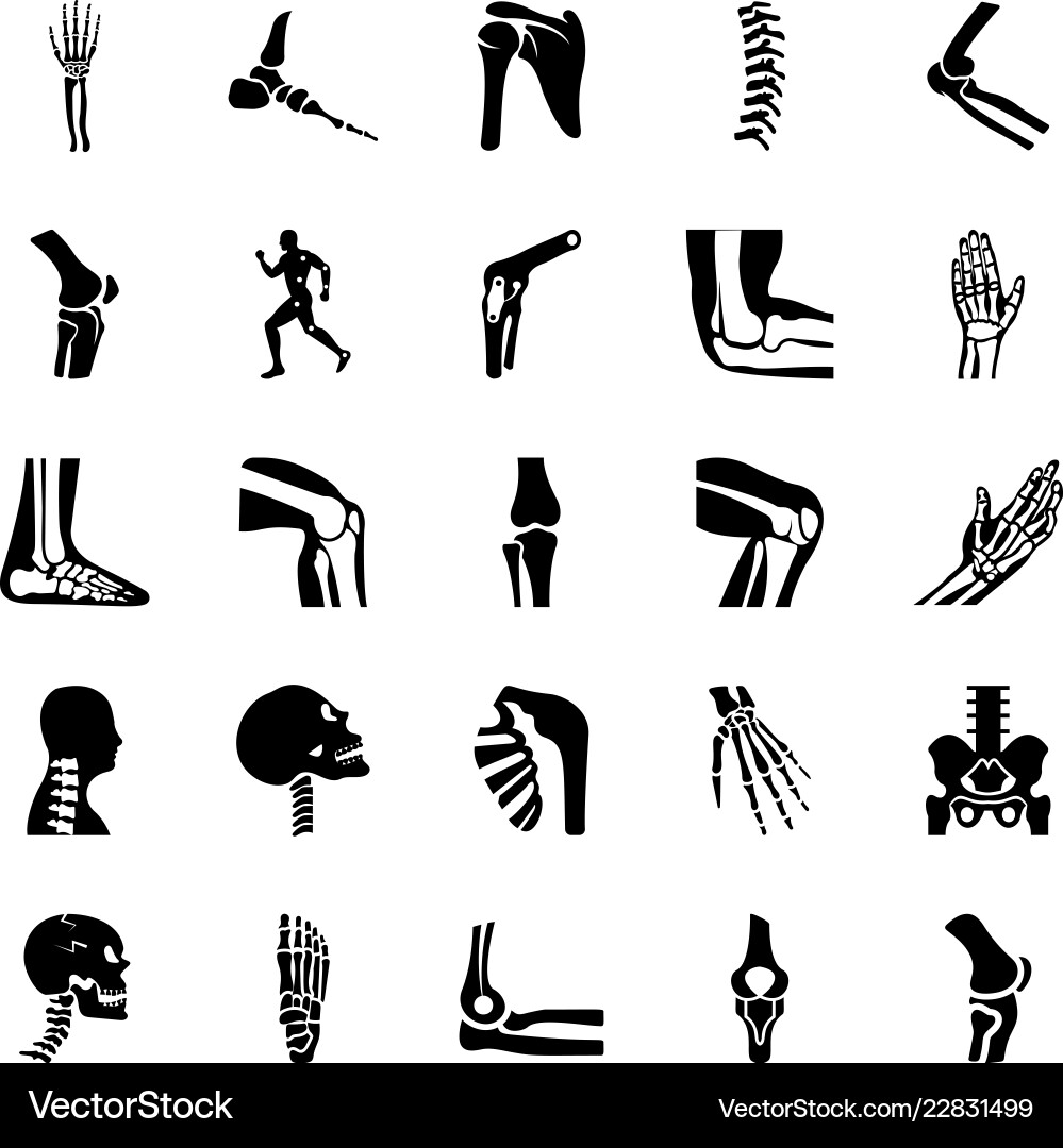 Orthopedic & Spine Icon Set Royalty Free Vector Image
