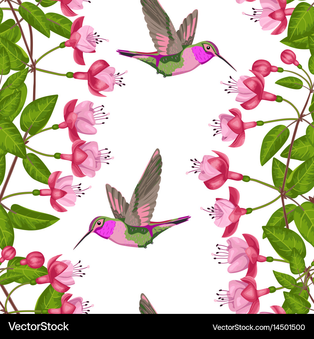 Fuchsia and hummingbird seamless pattern vector image