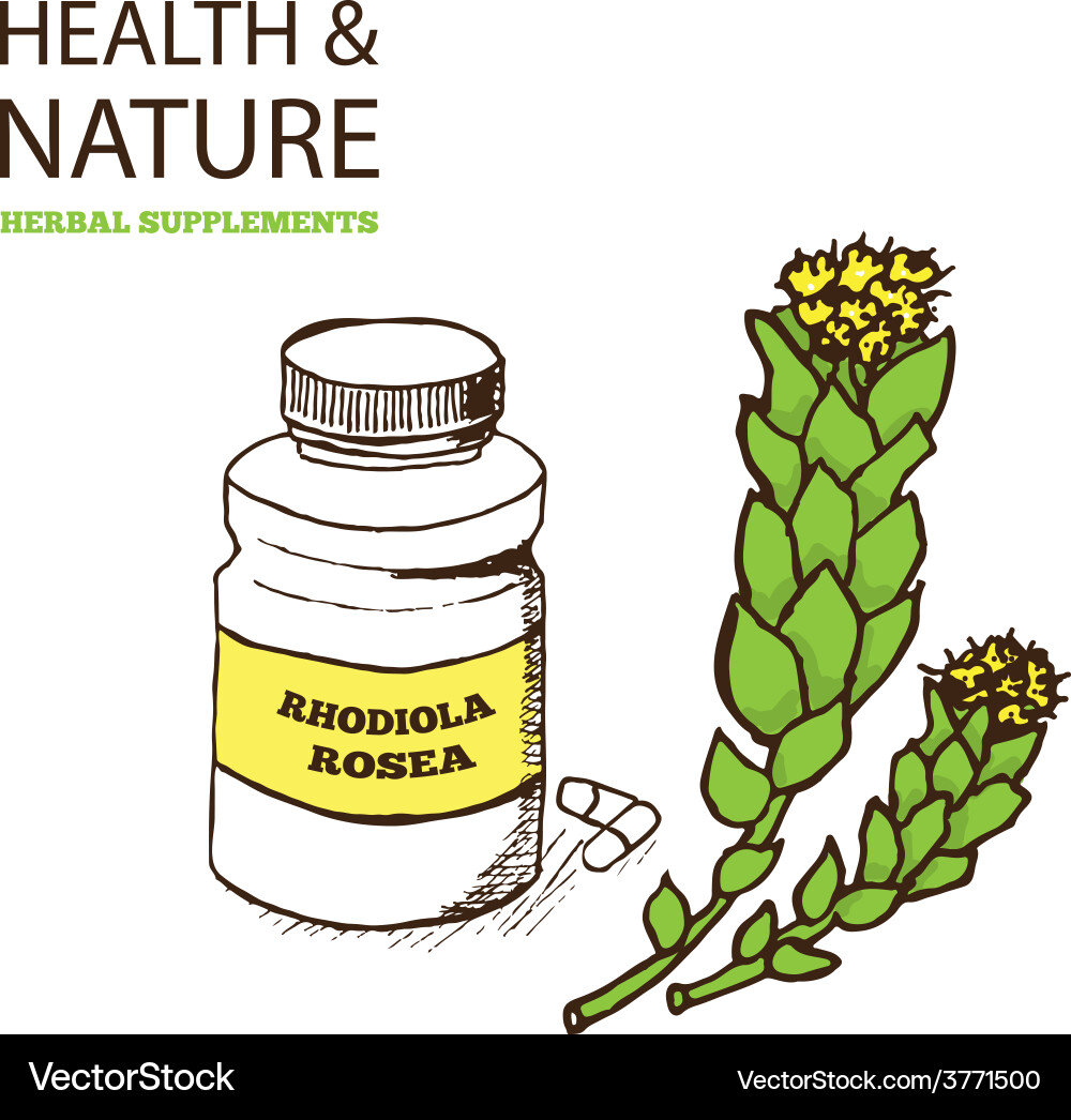 Gesundheit und Natur ergänzt Sammlung Gesundheit und Natur ergänzt Sammlung vektorbild