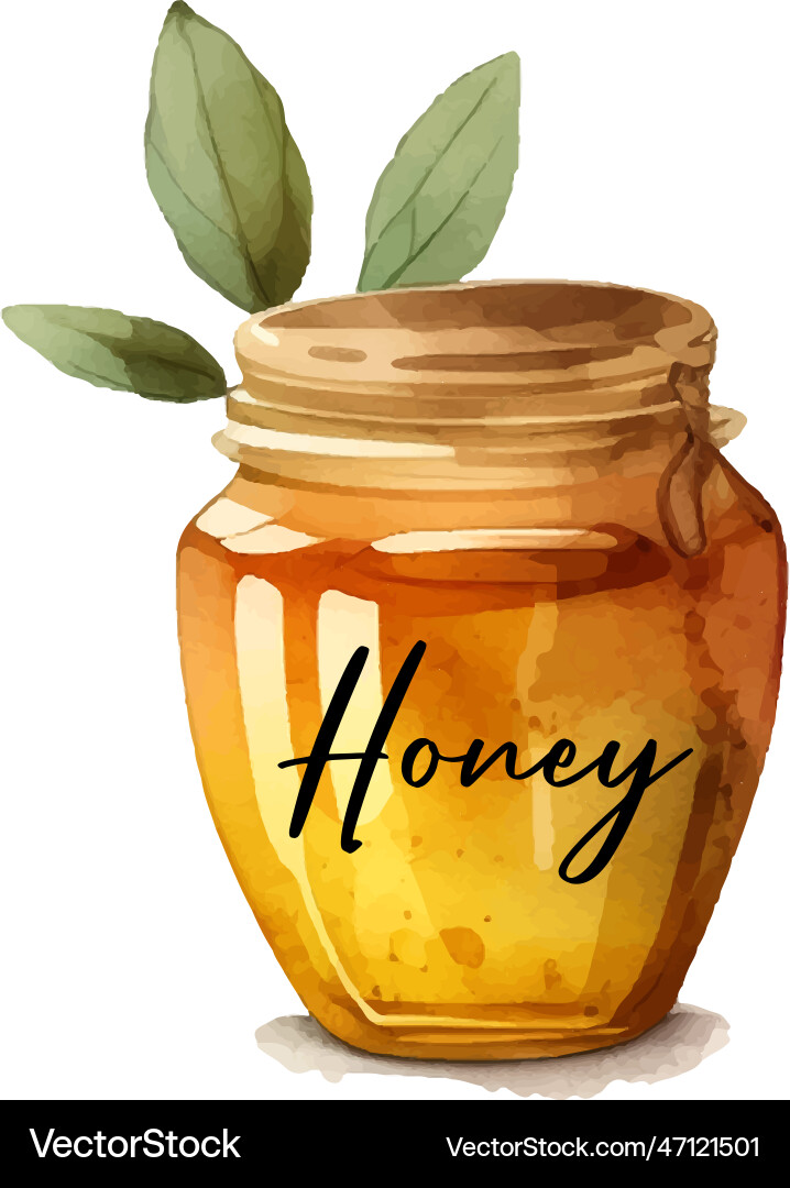 Hand drawn with yellow jar honey watercolor white Hand drawn with yellow jar honey watercolor white vector image